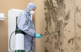 Best Mold Prevention Services in Mount Vernon, AL